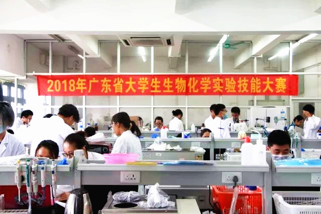 日本女优a片
学生荣获广东省生物化学实验技能大赛二等奖02.jpg